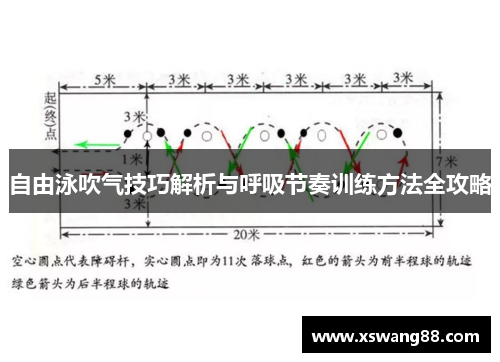自由泳吹气技巧解析与呼吸节奏训练方法全攻略