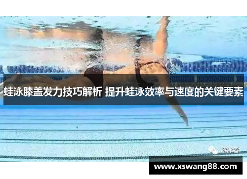 蛙泳膝盖发力技巧解析 提升蛙泳效率与速度的关键要素
